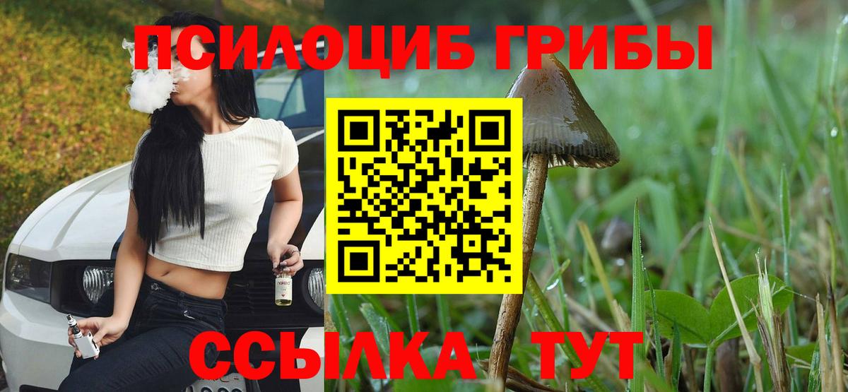 Псилоцибиновые грибы Psilocybine cubensis  Галлюциногенные грибы Psilocybine cubensis  Вход с VPN  Бердск 