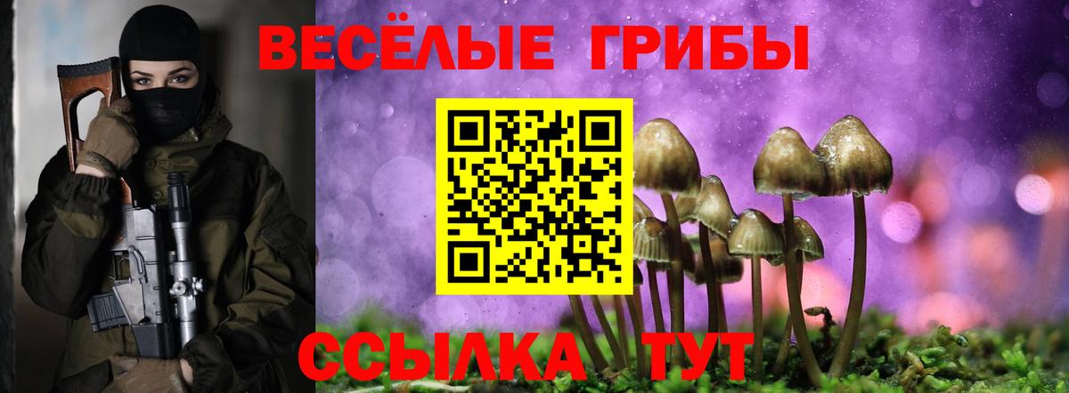 Галлюциногенные грибы Psilocybe Бердск